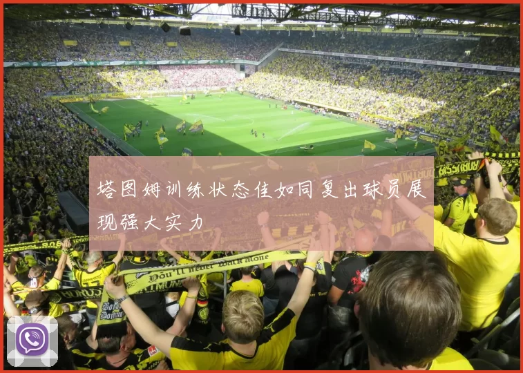 塔图姆训练状态佳如同复出球员展现强大实力